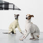 GASU Assembler / [Lucent White] 4-Leg Jumpsuit