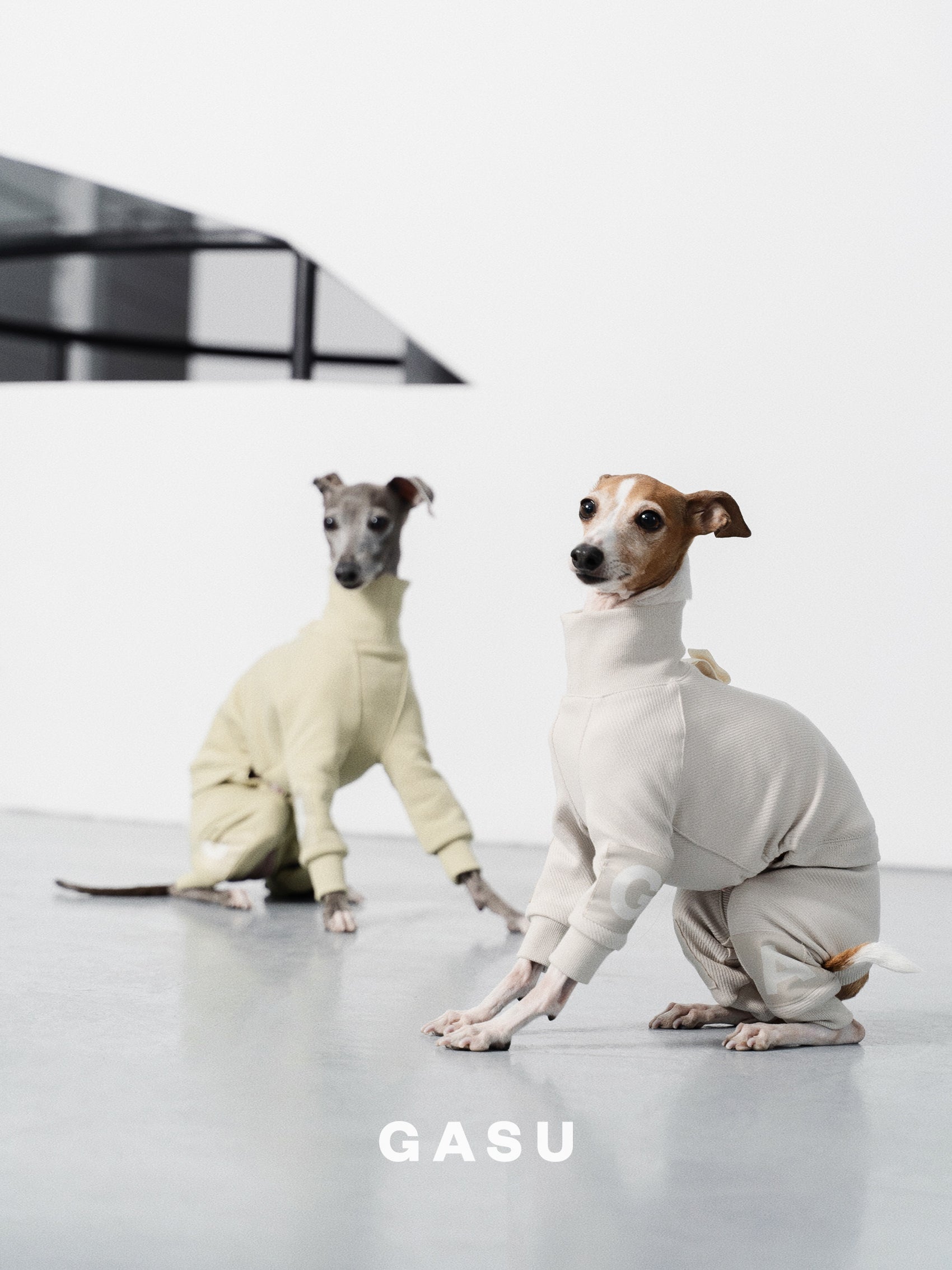 GASU Assembler / [Lucent White] 4-Leg Jumpsuit