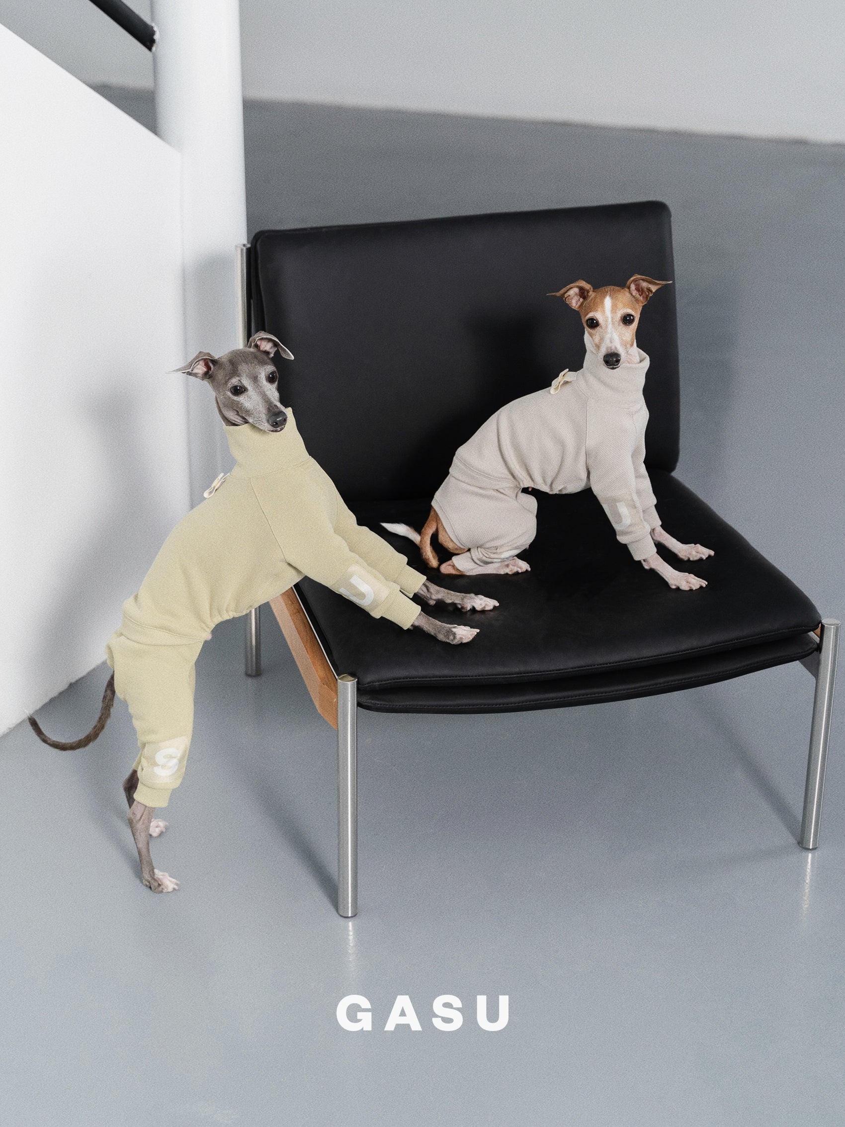 GASU Assembler / [Lucent White] 4-Leg Jumpsuit