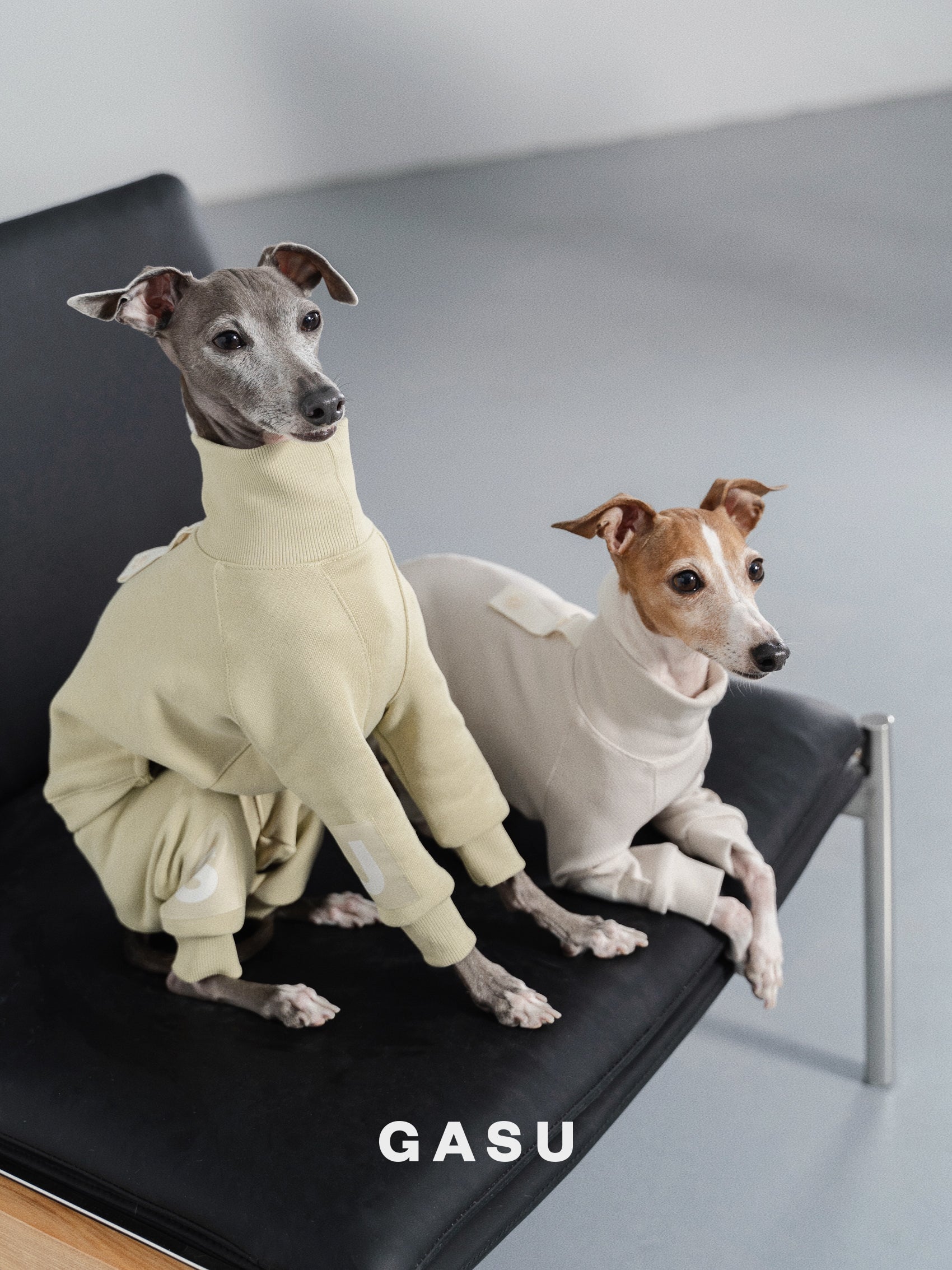 GASU Assembler / [Celadon Green] 4-Leg Jumpsuit