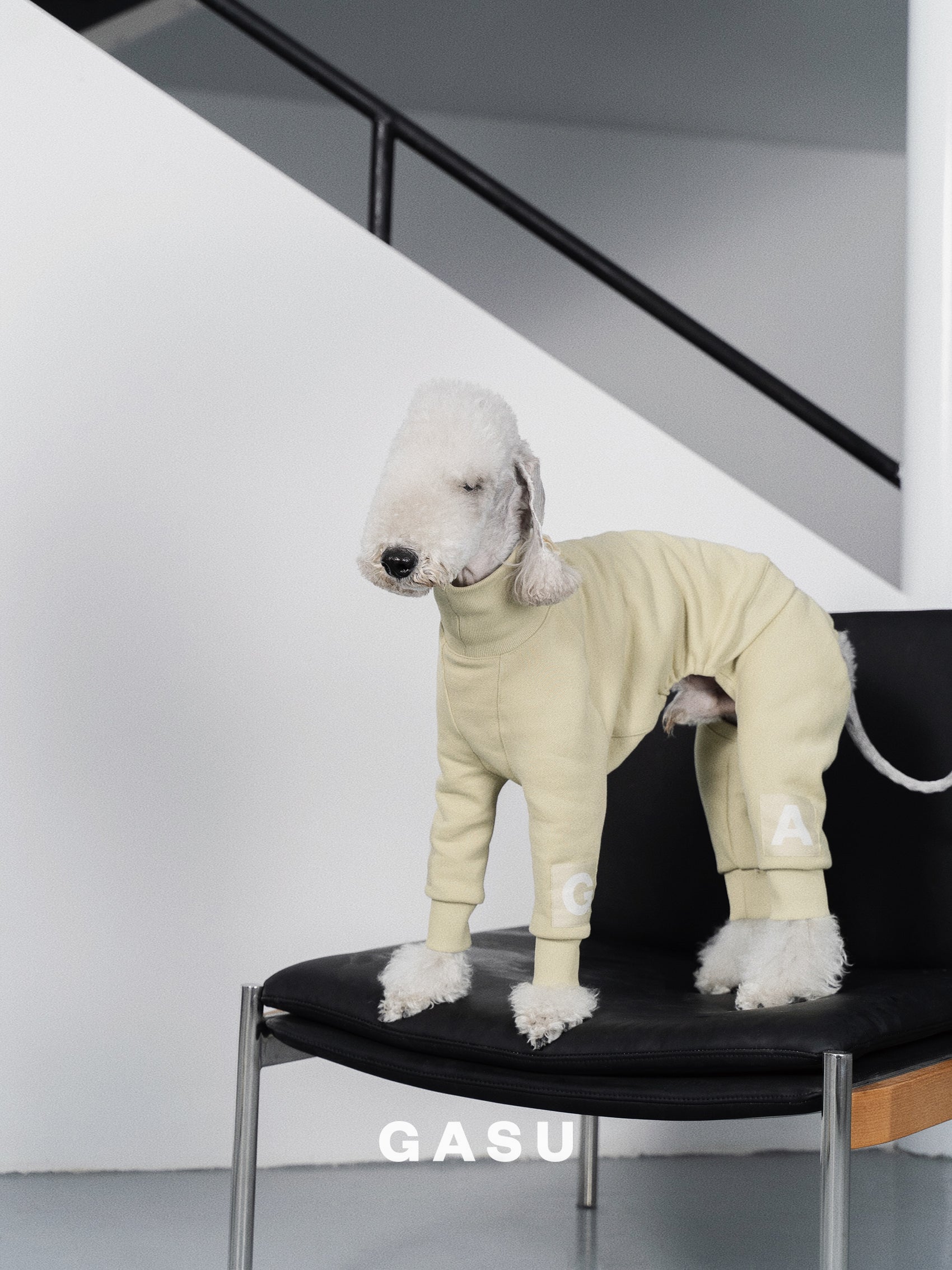 GASU Assembler / [Celadon Green] 4-Leg Jumpsuit