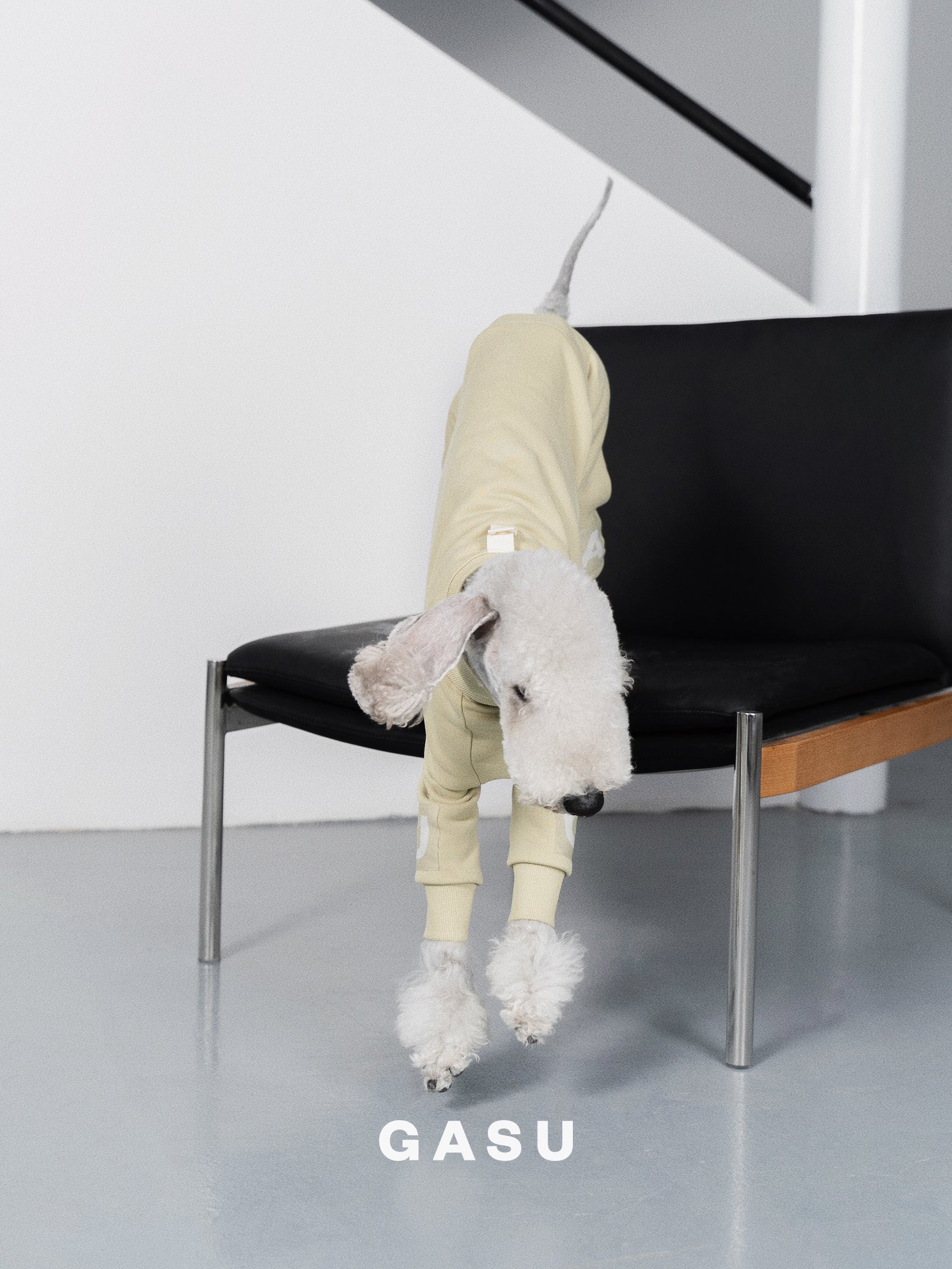 GASU Assembler / [Celadon Green] 4-Leg Jumpsuit