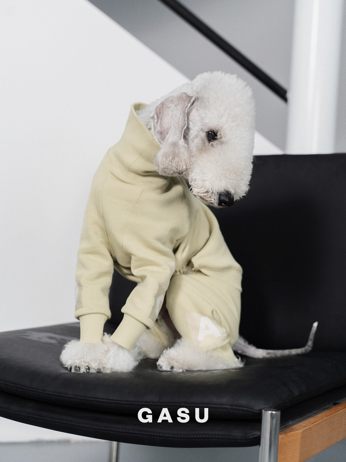 GASU Assembler / [Celadon Green] 4-Leg Jumpsuit