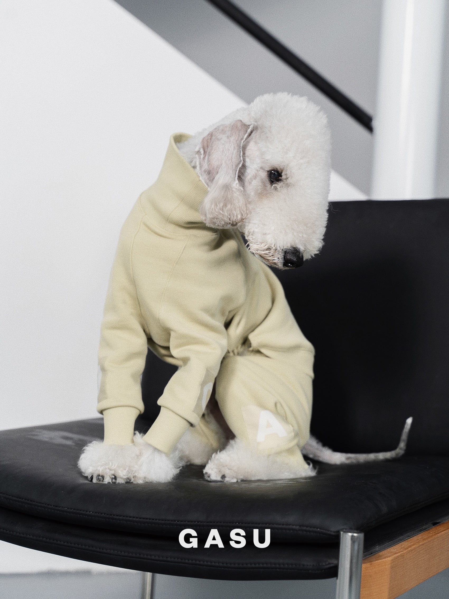 GASU Assembler / [Celadon Green] 4-Leg Jumpsuit
