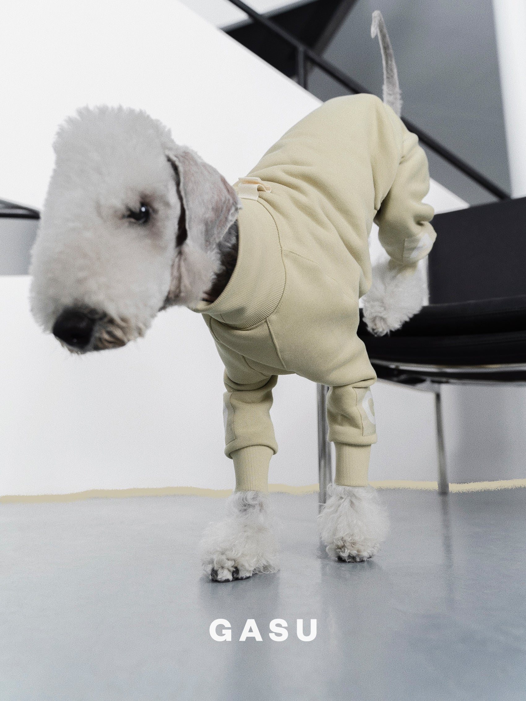 GASU Assembler / [Celadon Green] 4-Leg Jumpsuit