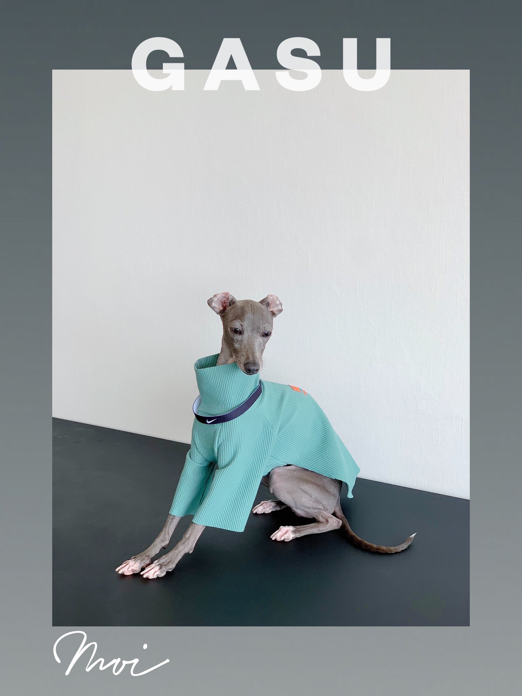 GASU Moi / [6 Colors] Cuttable 2-Sided Lazy Dog Tee