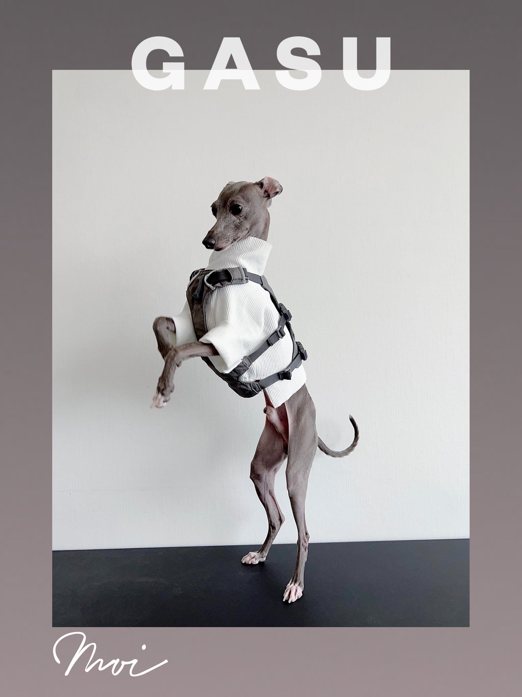 GASU Moi / [6 Colors] Cuttable 2-Sided Lazy Dog Tee