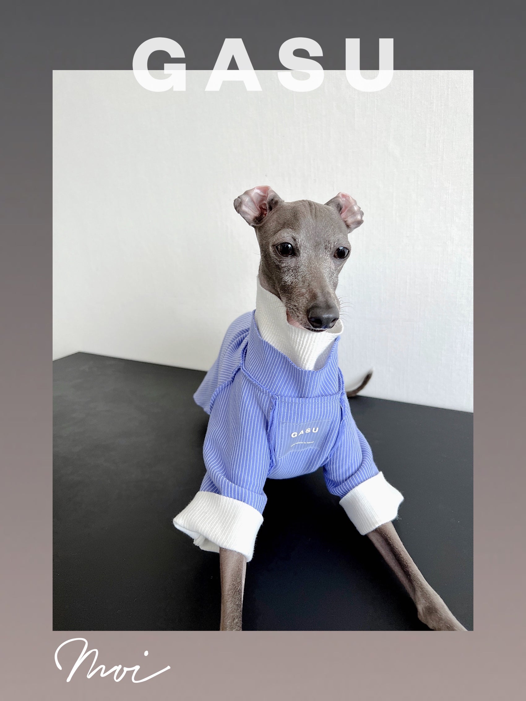 GASU Moi / [6 Colors] Cuttable 2-Sided Lazy Dog Tee