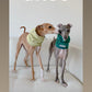 GASU Nuage / [4 Colors] Super fine wool Snood