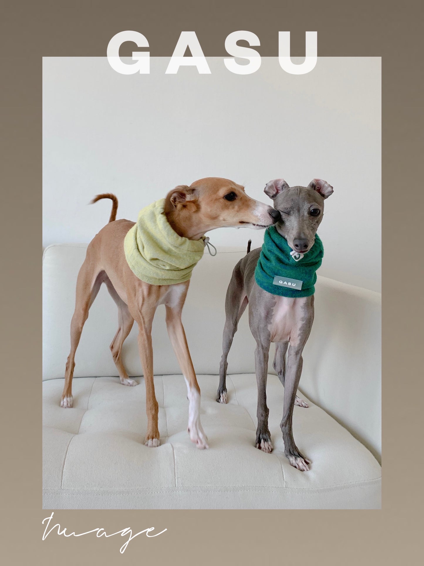 GASU Nuage / [4 Colors] Super fine wool Snood