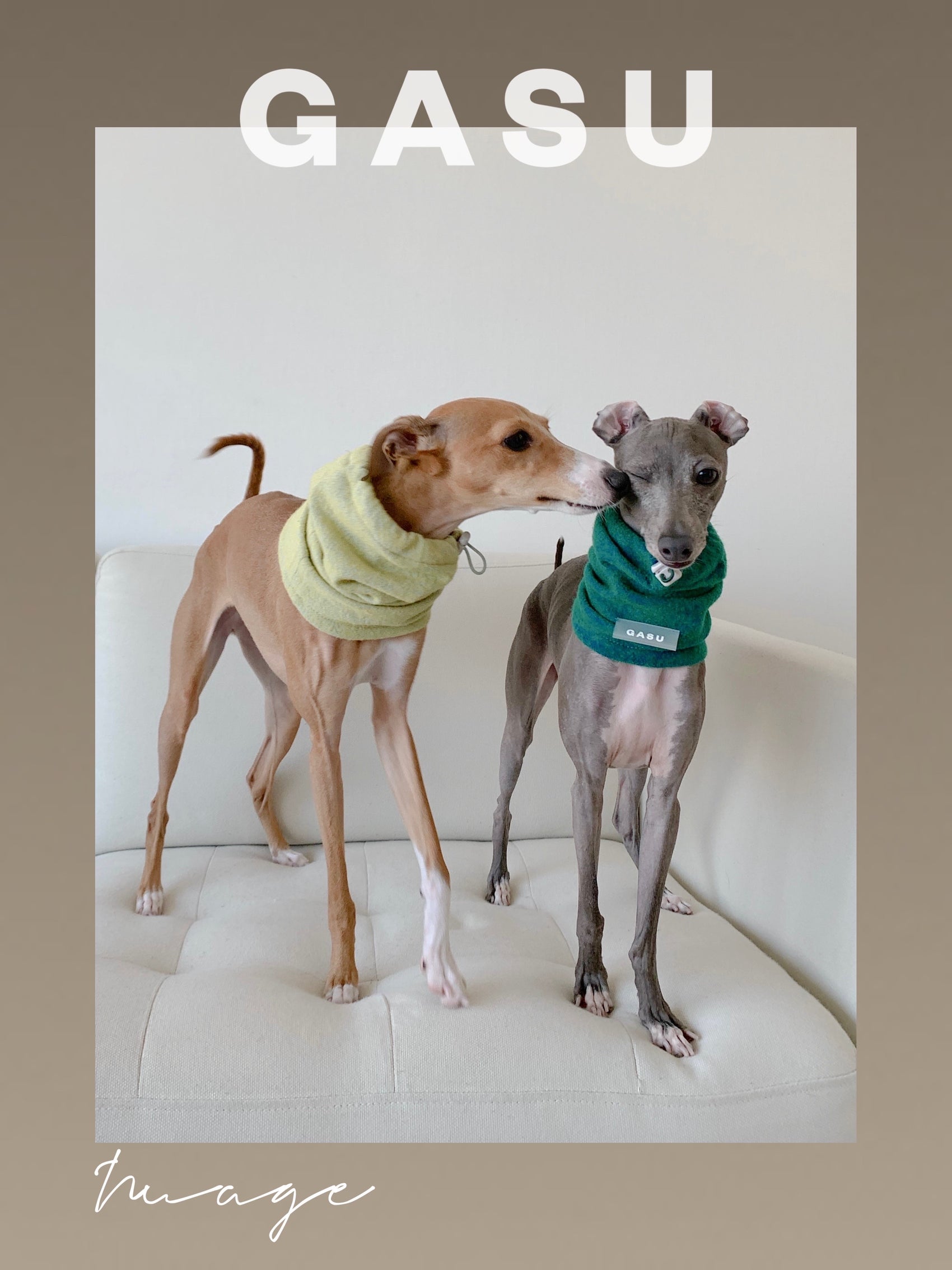 GASU Nuage / [4 Colors] Super fine wool Snood