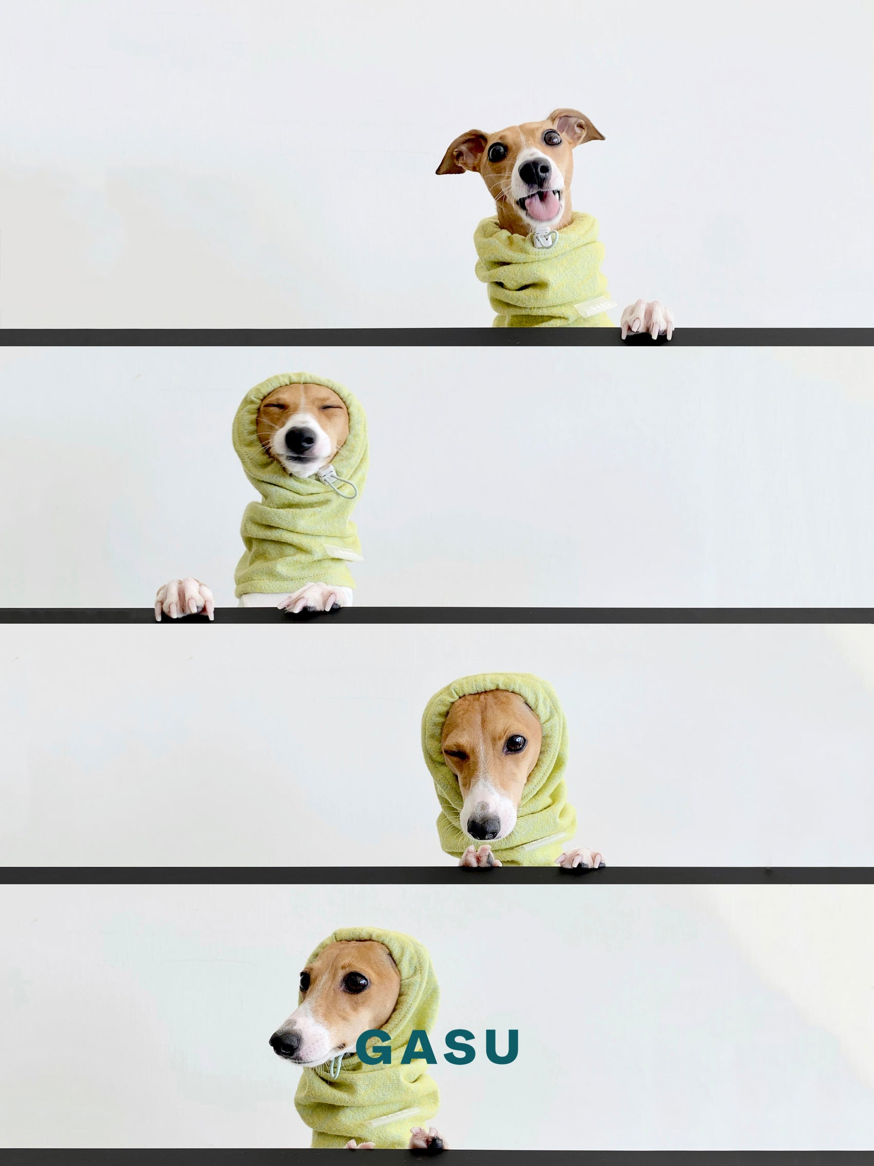 GASU Nuage / [4 Colors] Super fine wool Snood