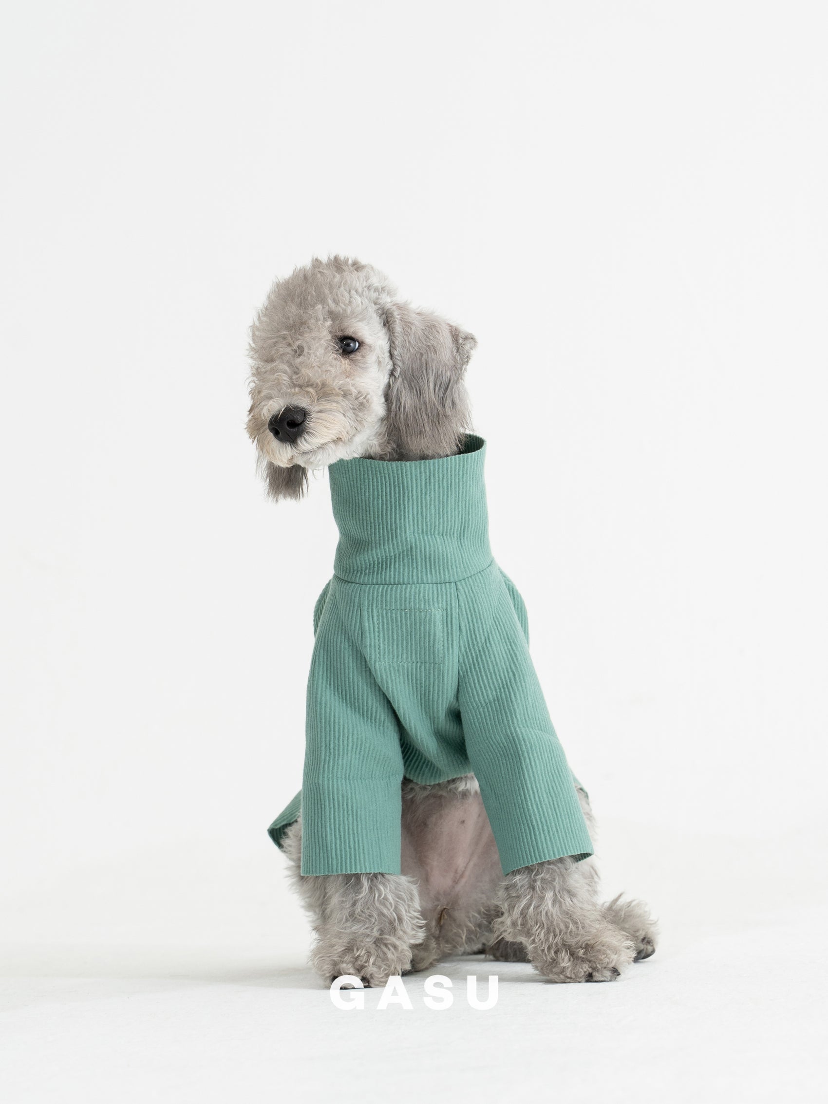 GASU Moi / [6 Colors] Cuttable 2-Sided Lazy Dog Tee