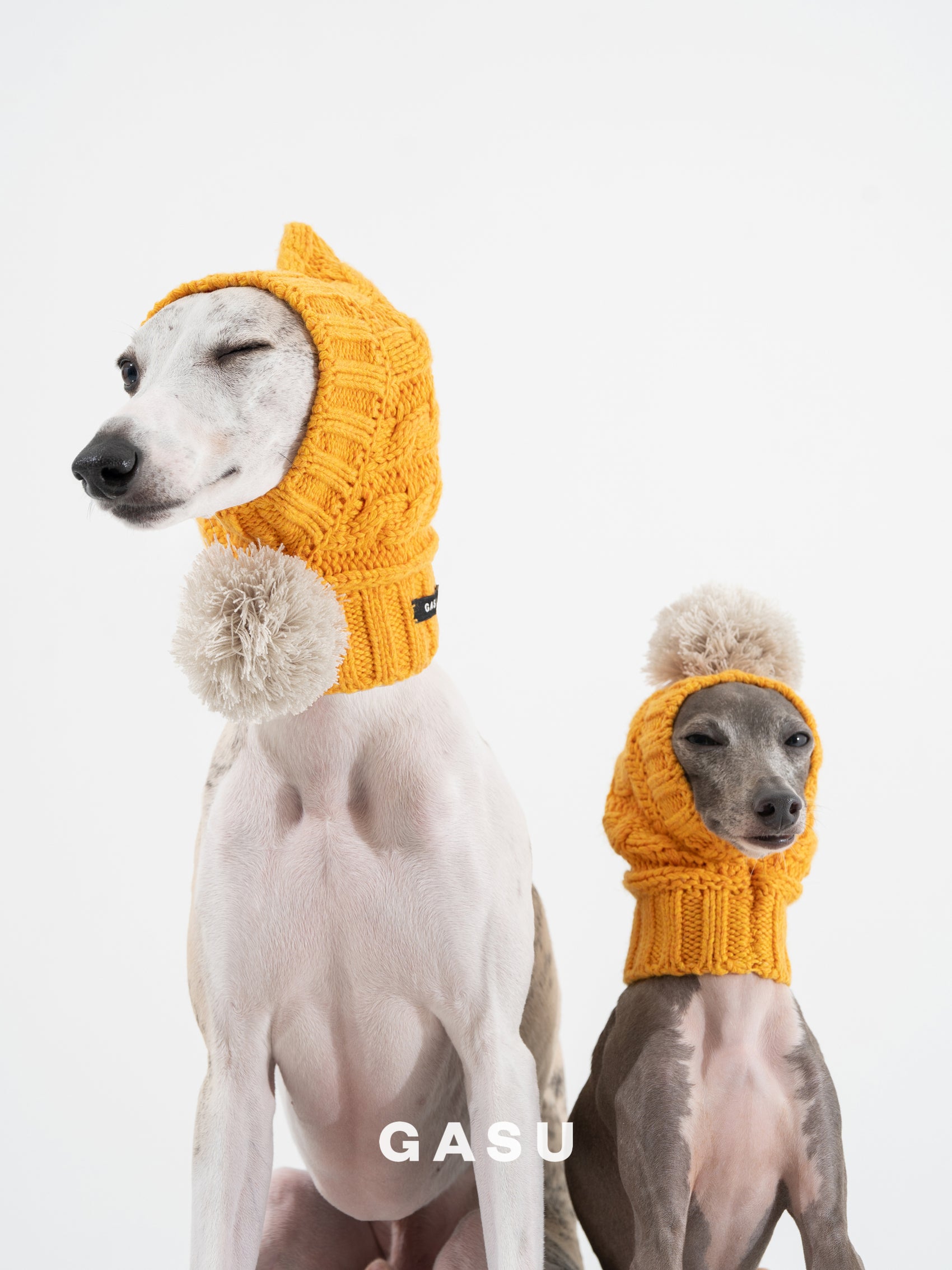 GASU Glace / [6 Colors] Cashmere Merino Wool Hat