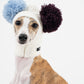 GASU Glace / [6 Colors] Cashmere Merino Wool Hat