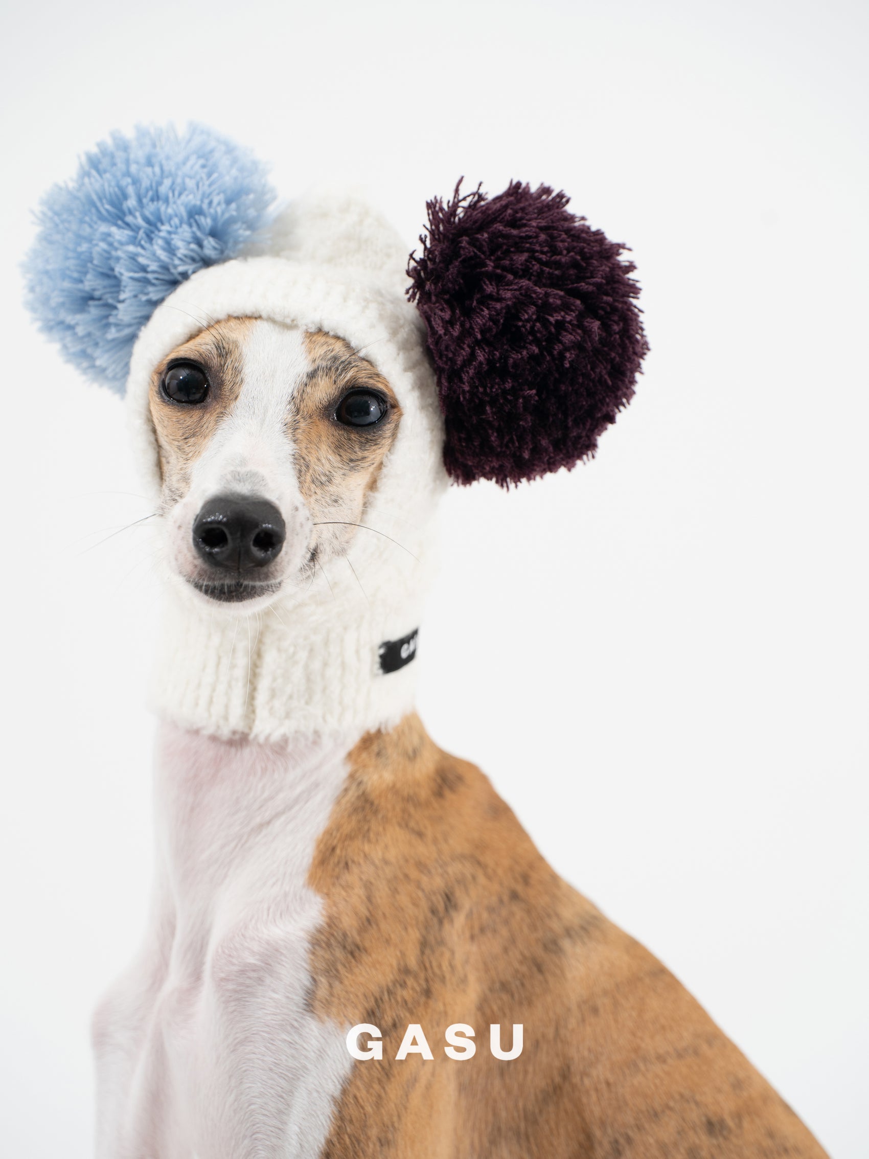 GASU Glace / [6 Colors] Cashmere Merino Wool Hat
