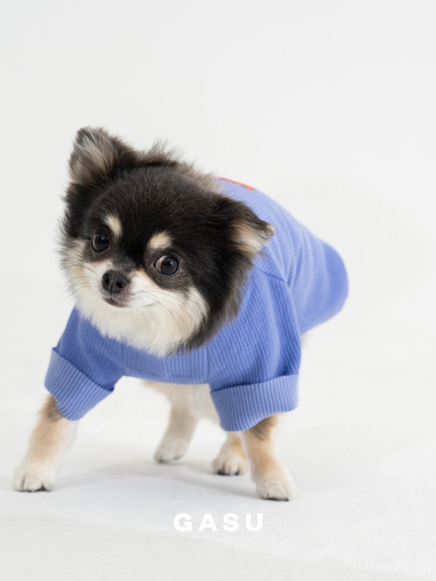 GASU Moi / [6 Colors] Cuttable 2-Sided Lazy Dog Tee