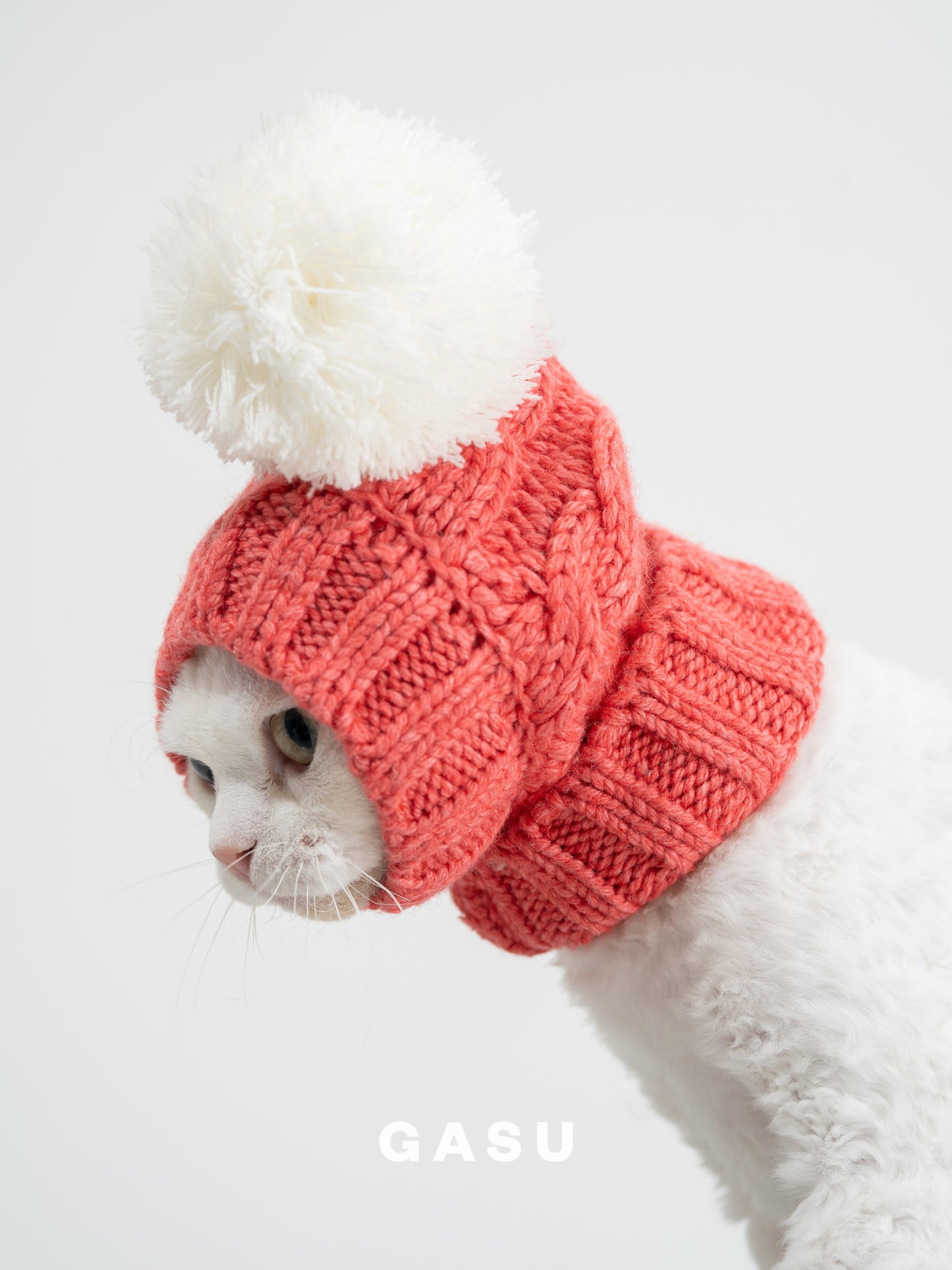 GASU Glace / [6 Colors] Cashmere Merino Wool Hat