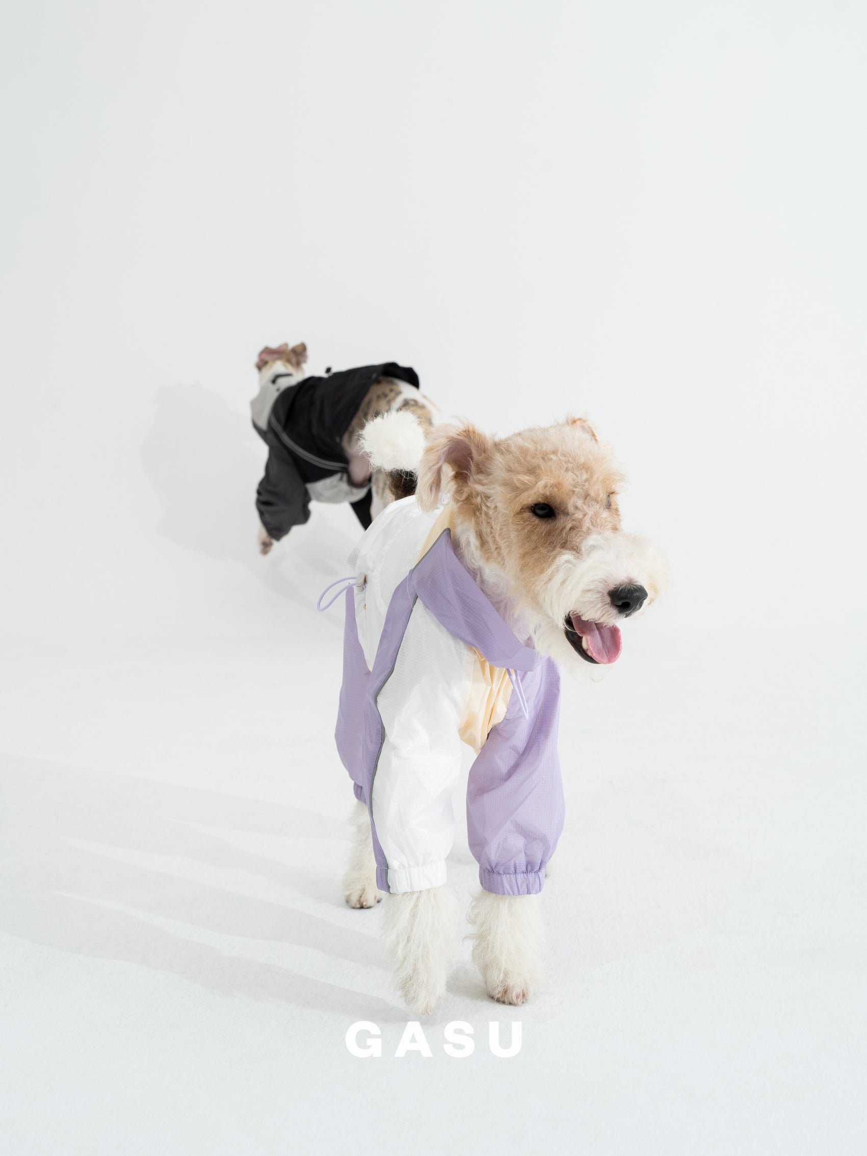 GASU Vautrer / [Cloudy Purple] Detachable 4-Leg Raincoat / Windbreaker Jacket