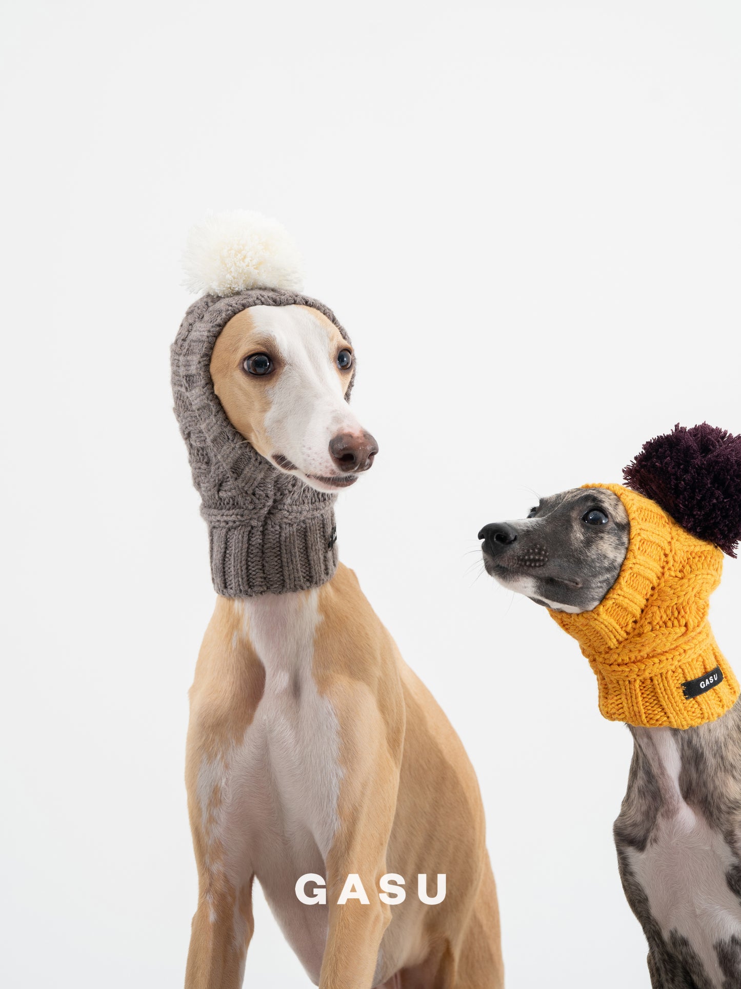 GASU Glace / [6 Colors] Cashmere Merino Wool Hat