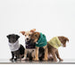 GASU Nuage / [4 Colors] Super fine wool Snood
