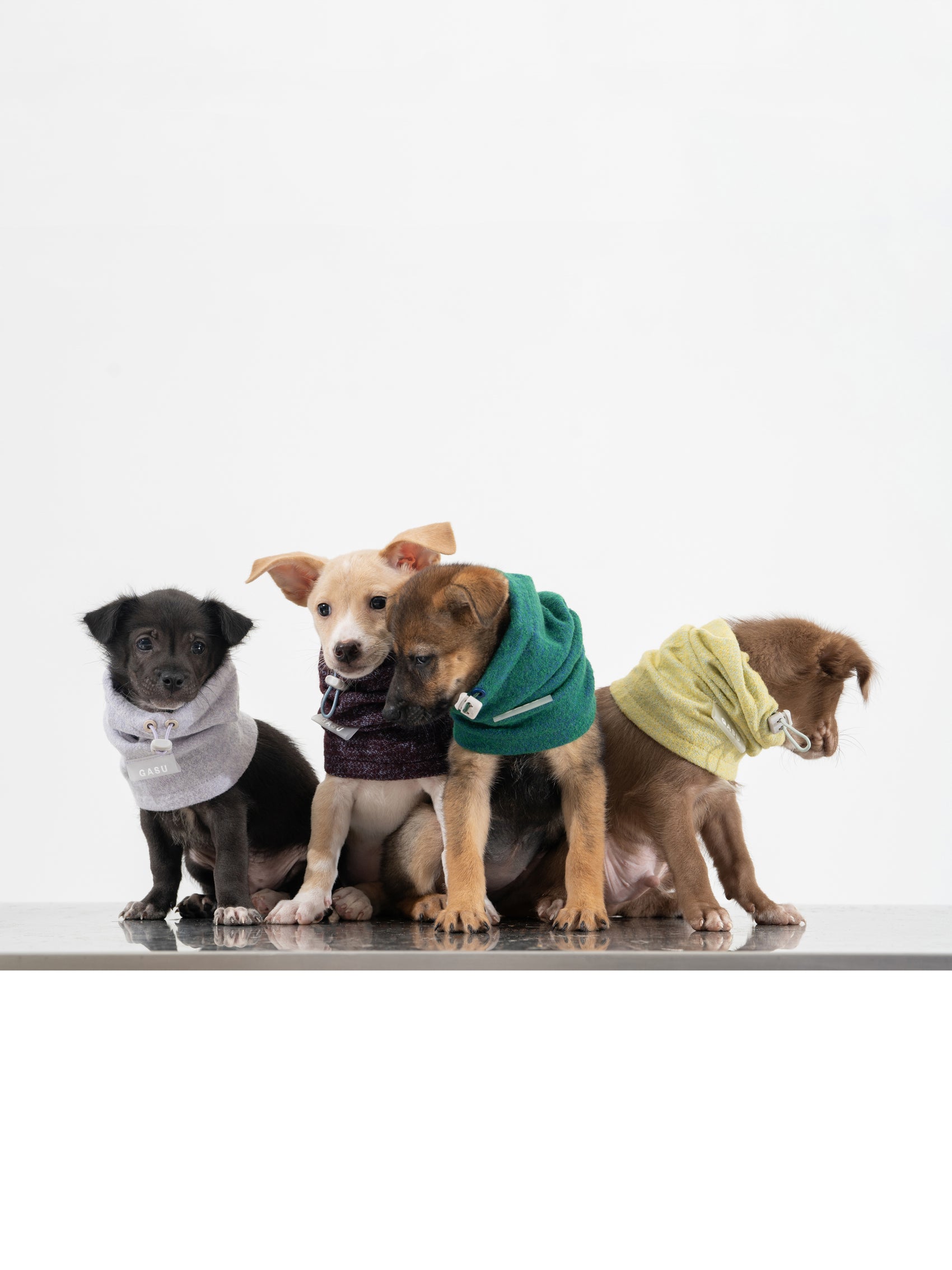 GASU Nuage / [4 Colors] Super fine wool Snood