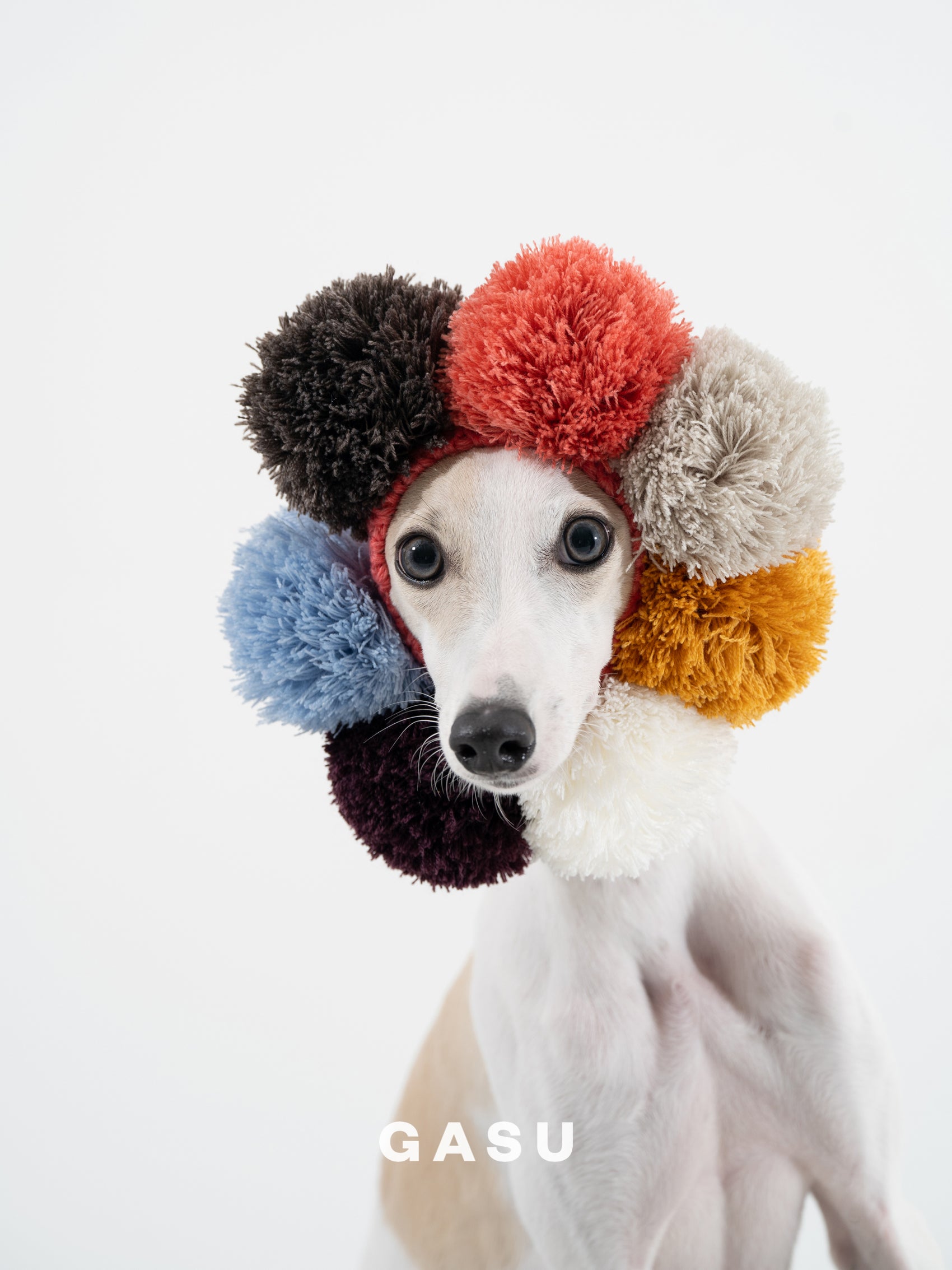GASU Glace / [6 Colors] Cashmere Merino Wool Hat