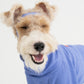 GASU Moi / [6 Colors] Cuttable 2-Sided Lazy Dog Tee