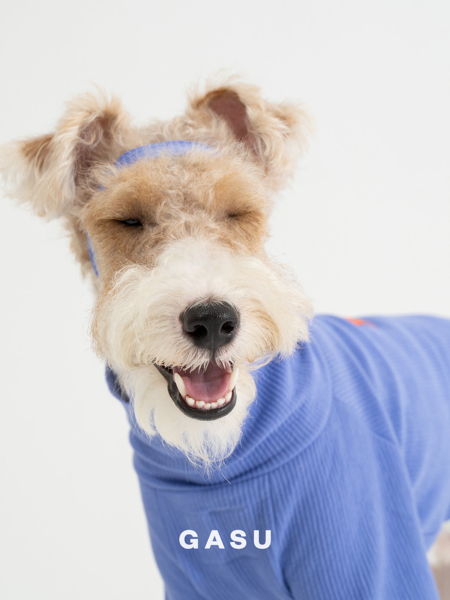 GASU Moi / [6 Colors] Cuttable 2-Sided Lazy Dog Tee