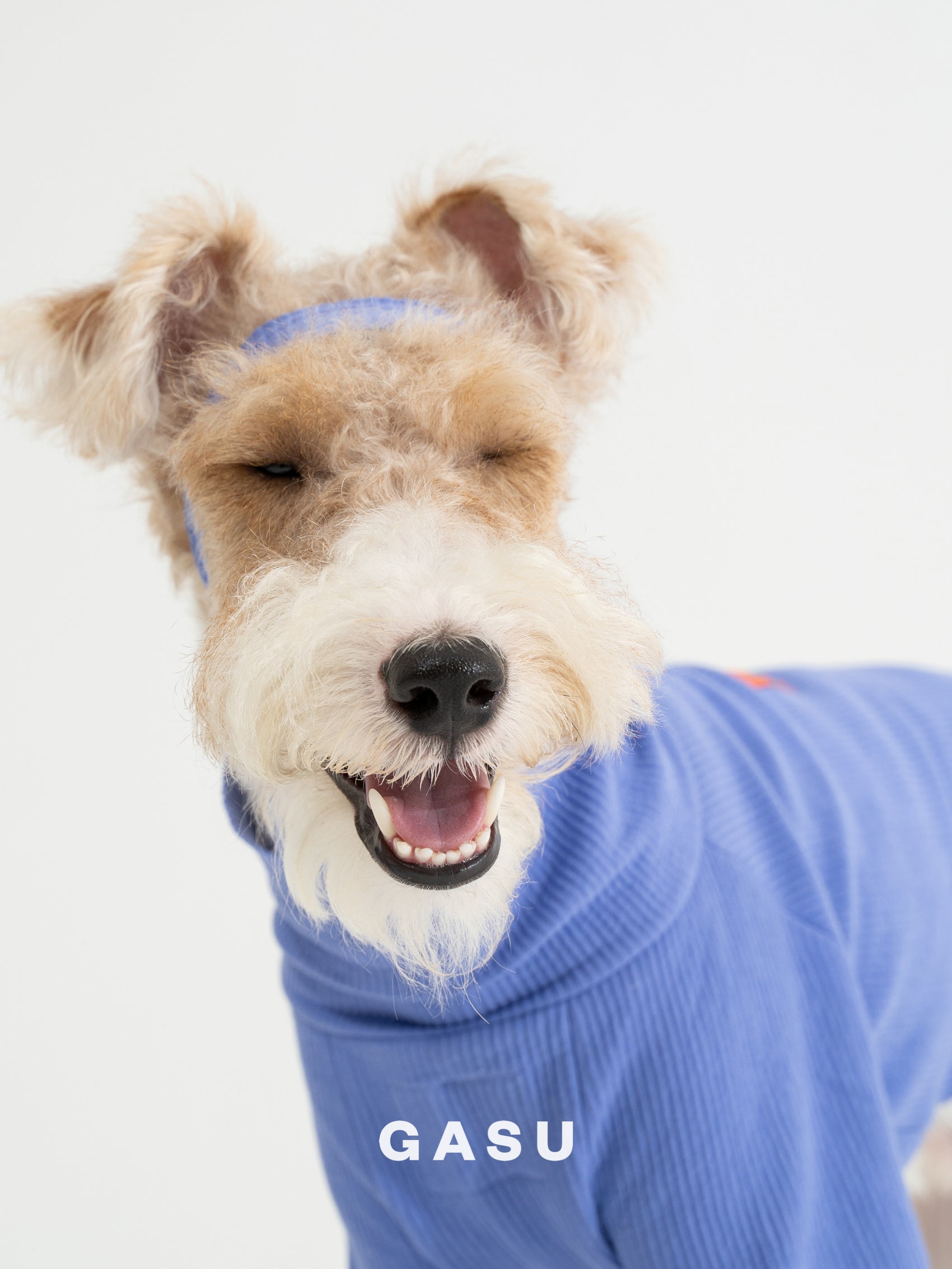 GASU Moi / [6 Colors] Cuttable 2-Sided Lazy Dog Tee