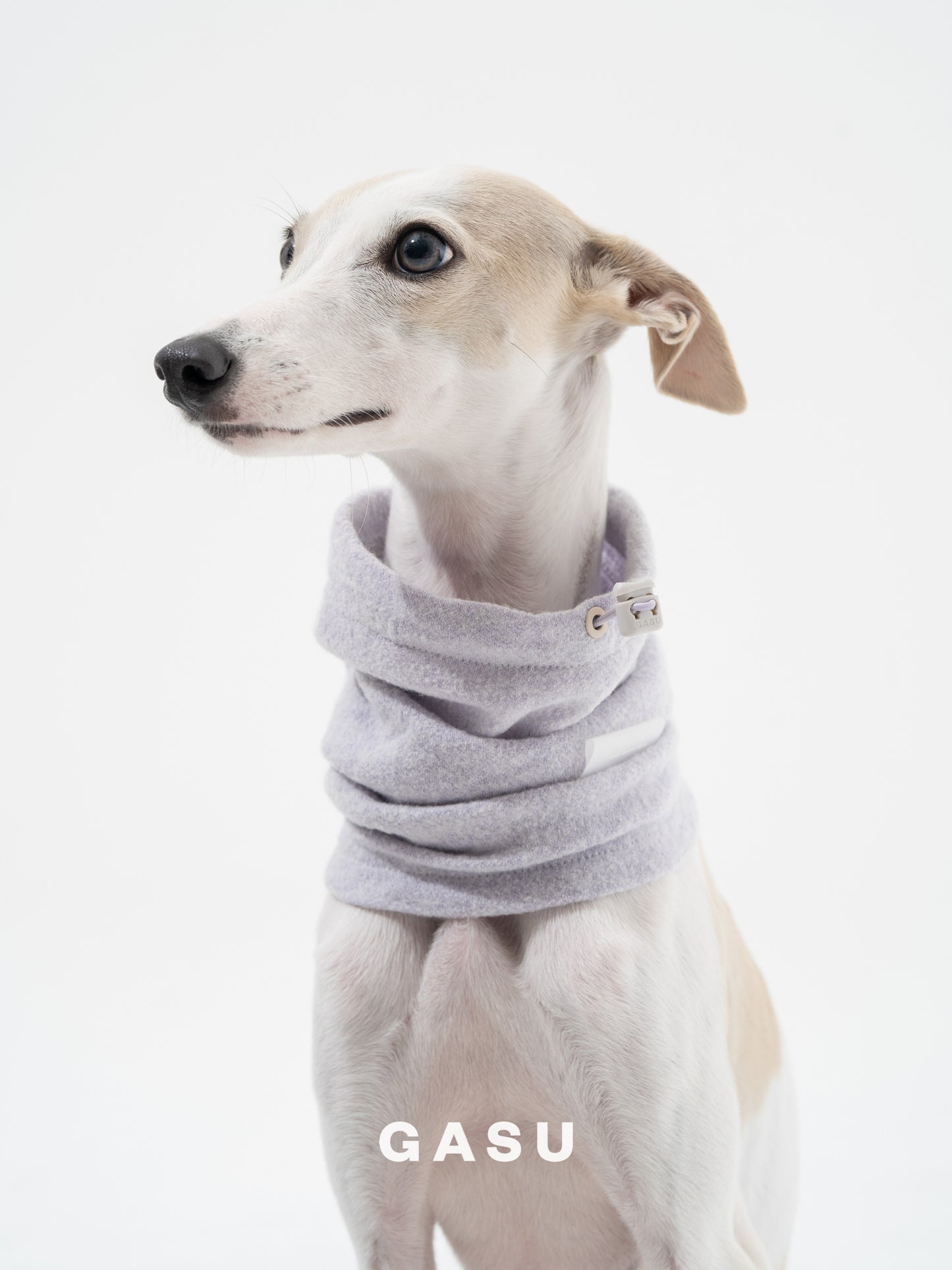 GASU Nuage / [4 Colors] Super fine wool Snood