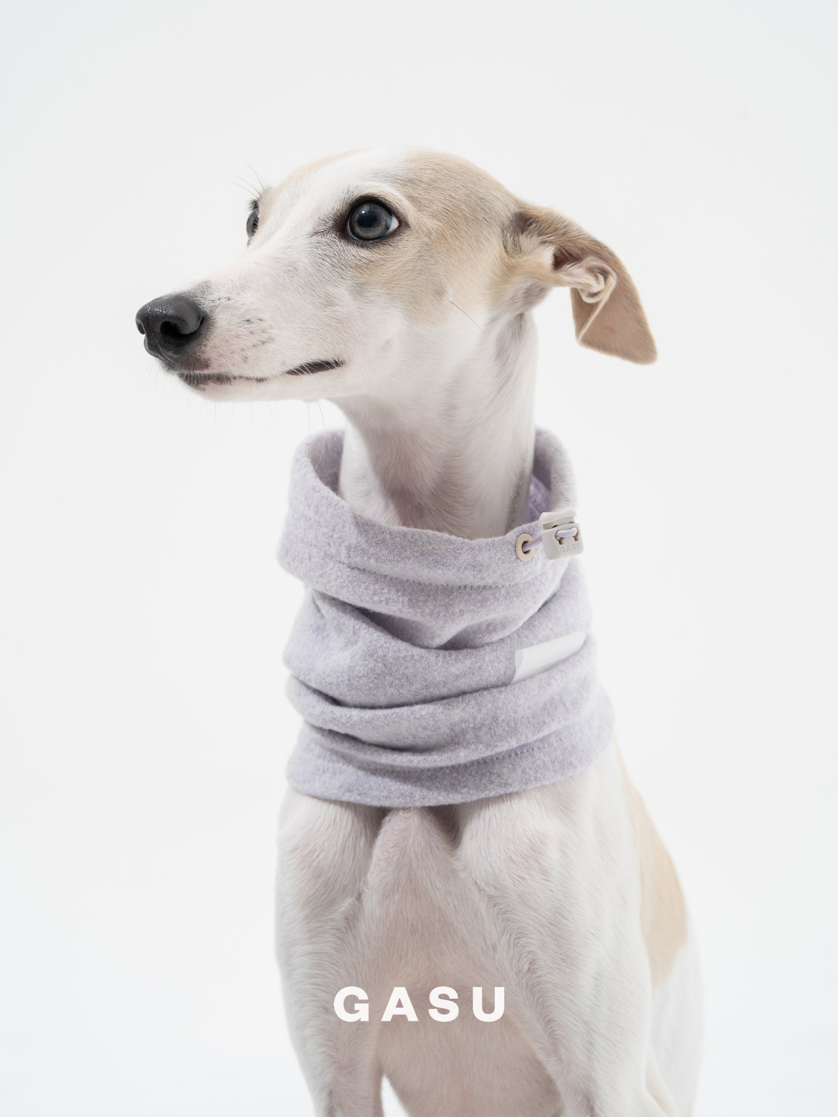 GASU Nuage / [4 Colors] Super fine wool Snood