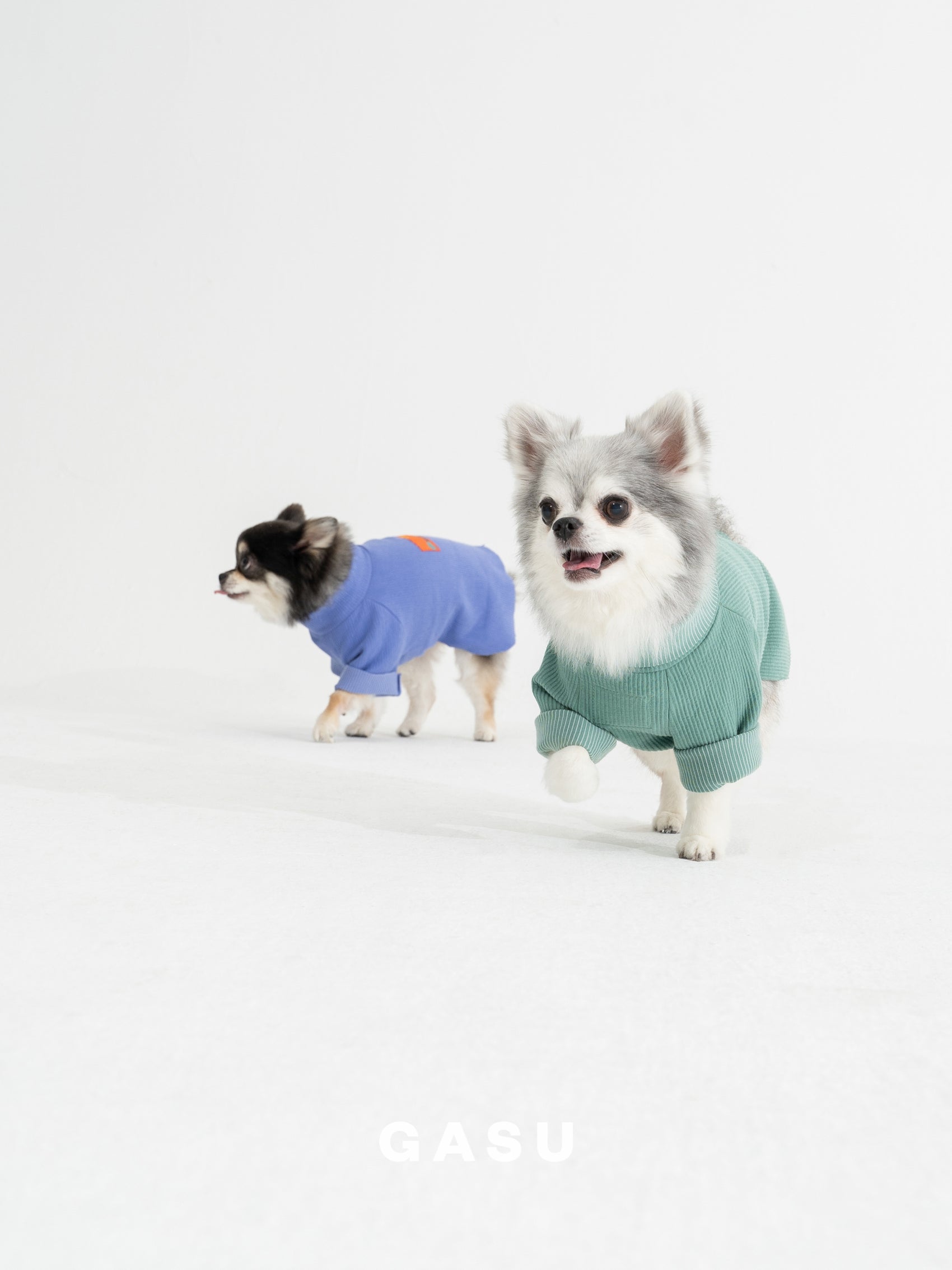 GASU Moi / [6 Colors] Cuttable 2-Sided Lazy Dog Tee