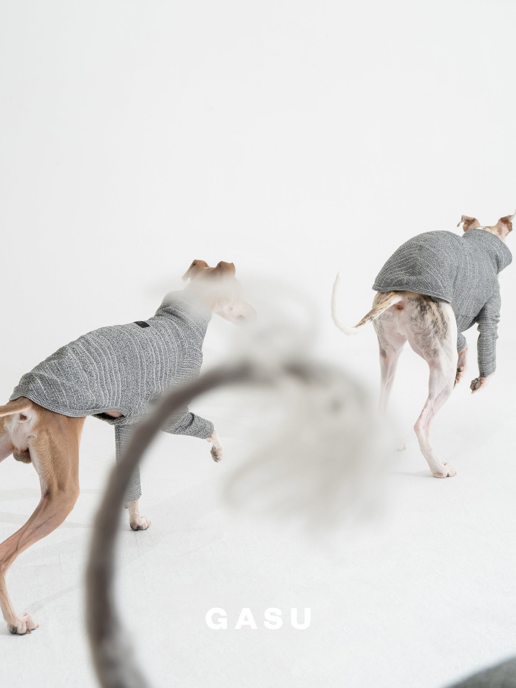 GASU Svelte / [Glaux] 2-Leg Fit Shirt