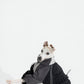 GASU Vautrer / [Coal Grey] Detachable 4-Leg Raincoat / Windbreaker Jacket
