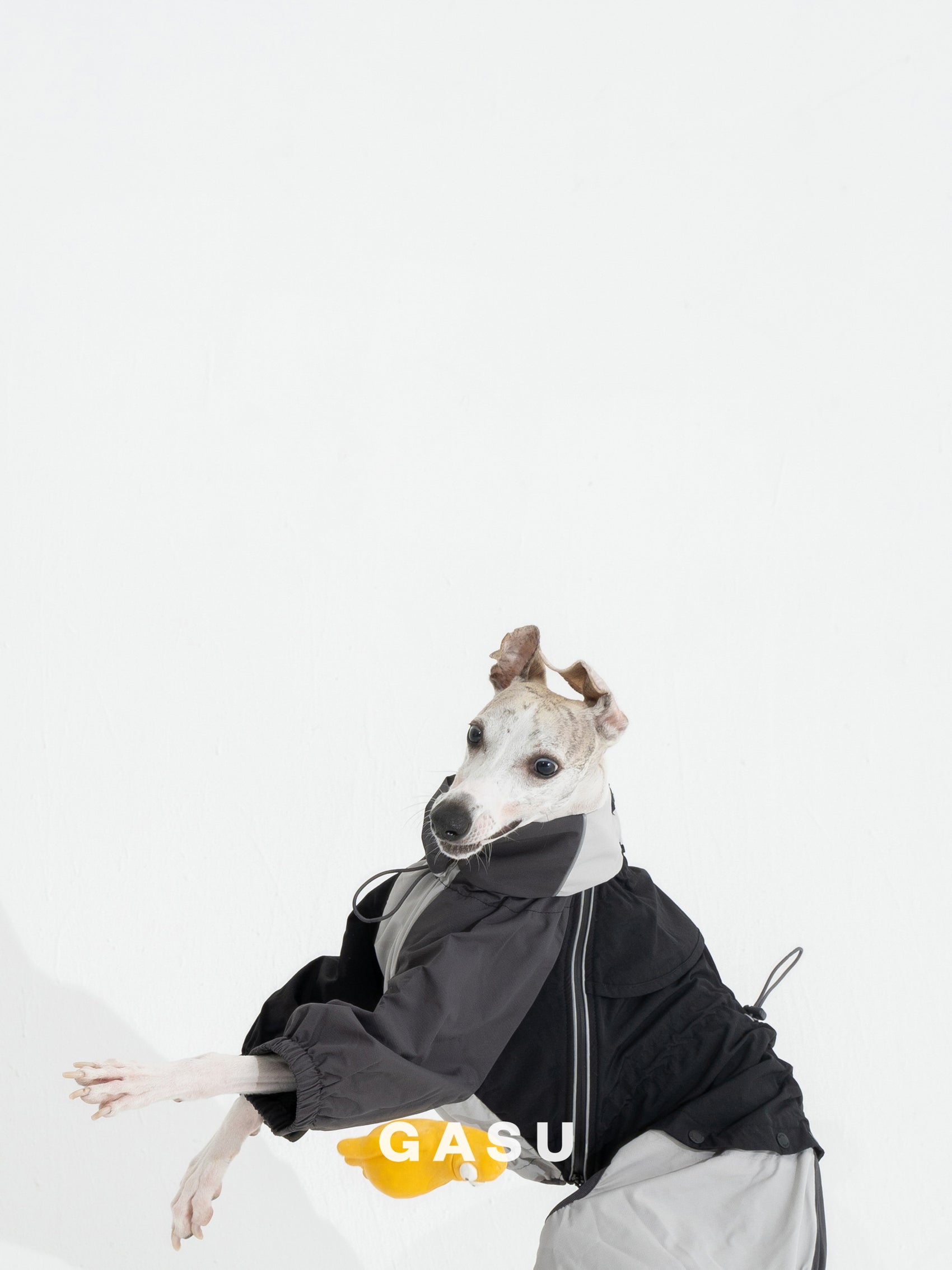 GASU Vautrer / [Coal Grey] Detachable 4-Leg Raincoat / Windbreaker Jacket
