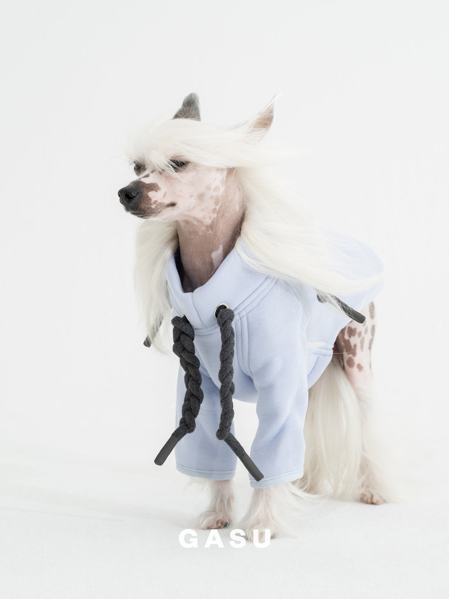 GASU Variété / [3 Colors] Puffy DIY 2-Leg Shirt