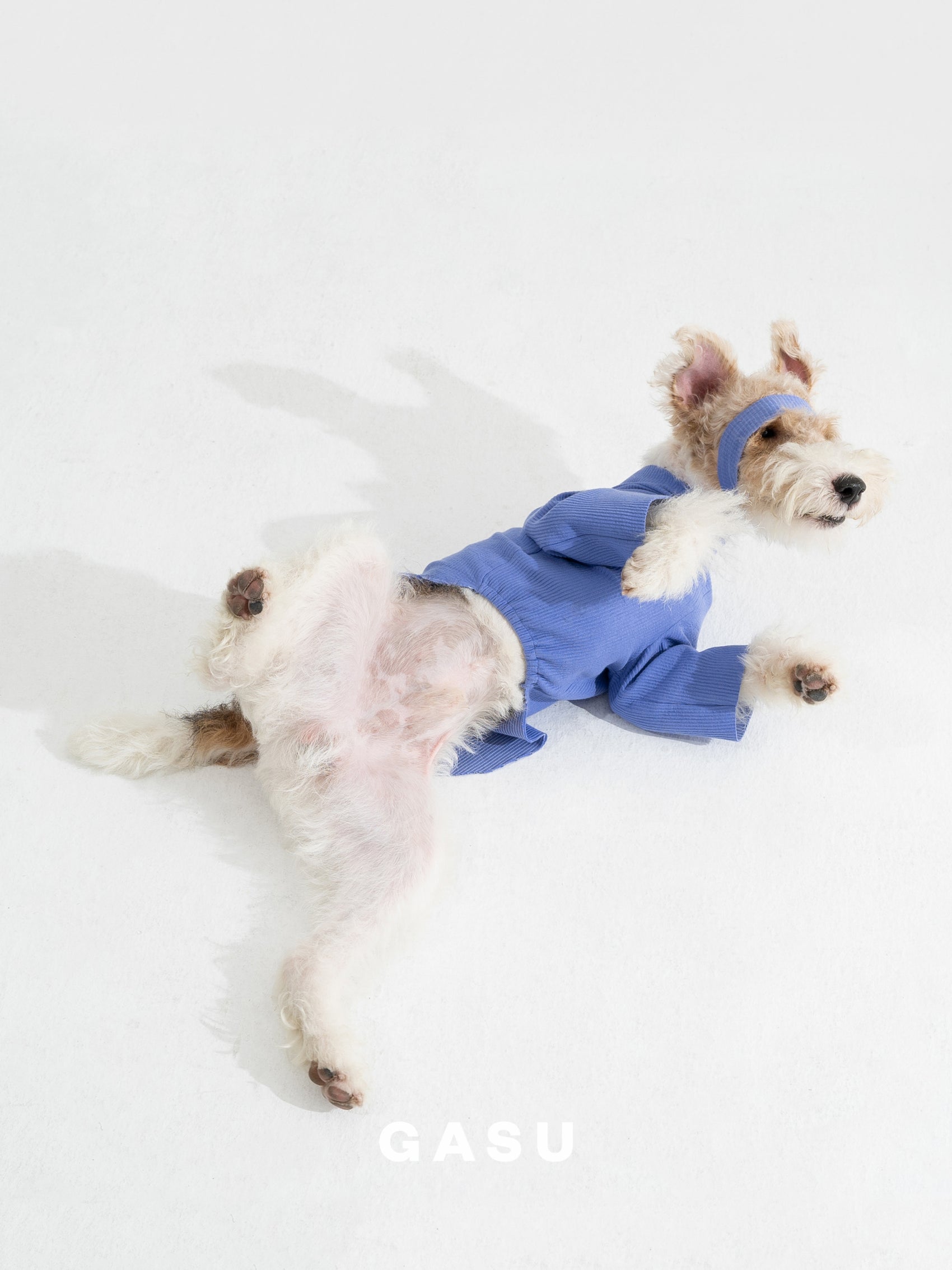 GASU Moi / [6 Colors] Cuttable 2-Sided Lazy Dog Tee