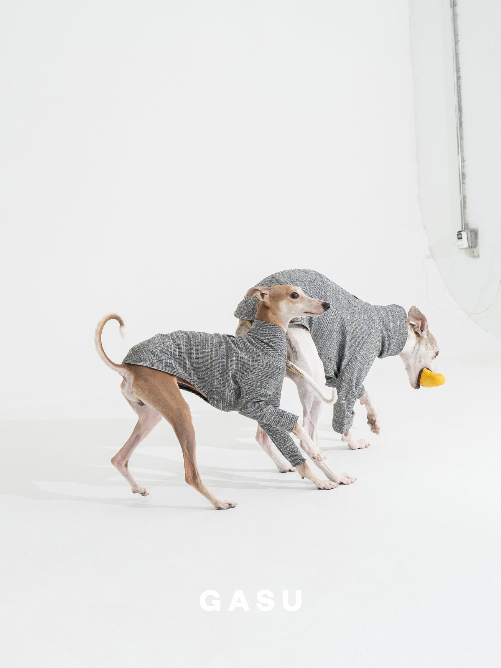 GASU Svelte / [Glaux] 2-Leg Fit Shirt