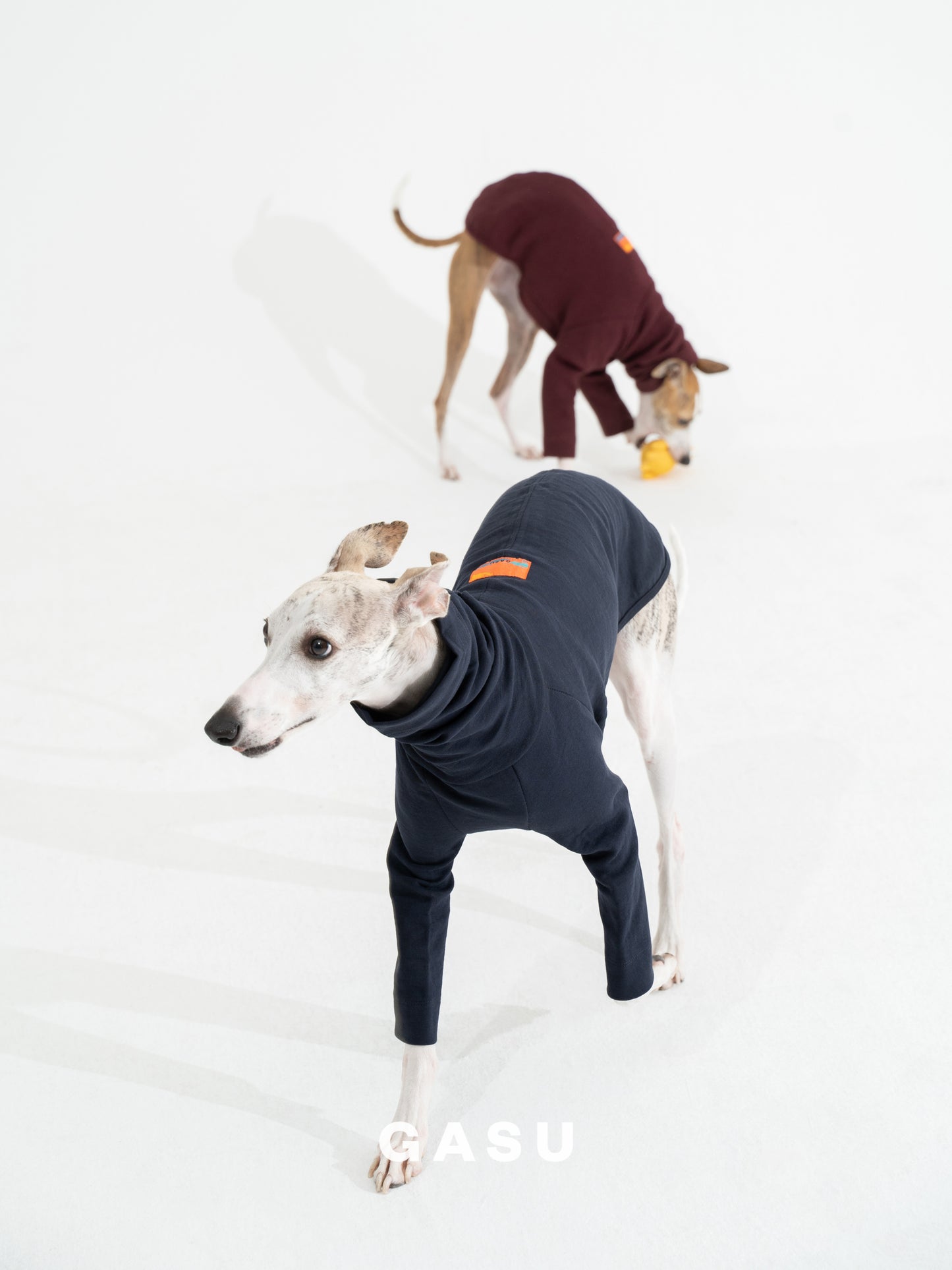 GASU Svelte / [3 Colors] 2-Leg Fit Shirt