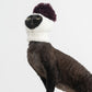 GASU Glace / [6 Colors] Cashmere Merino Wool Hat