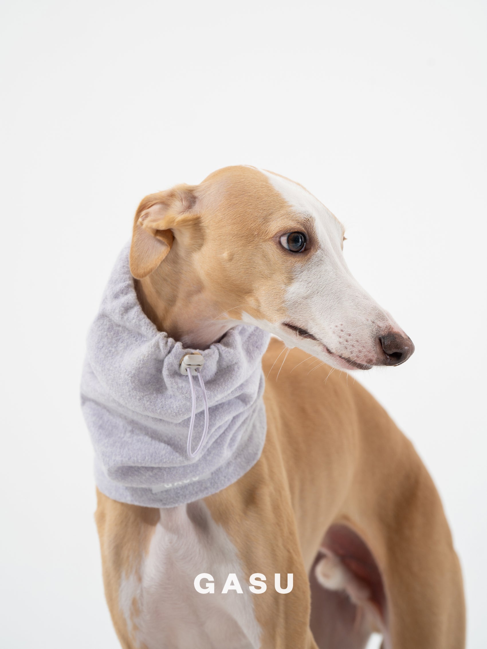 GASU Nuage / [4 Colors] Super fine wool Snood