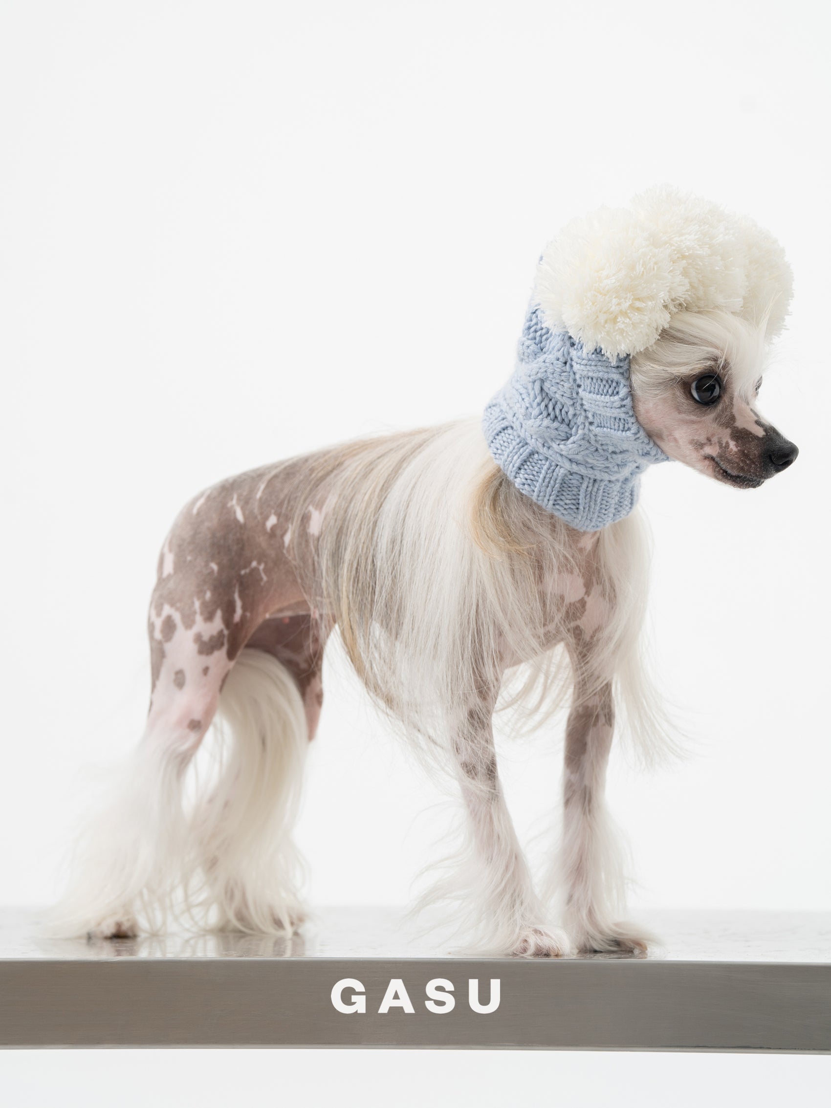 GASU Glace / [6 Colors] Cashmere Merino Wool Hat