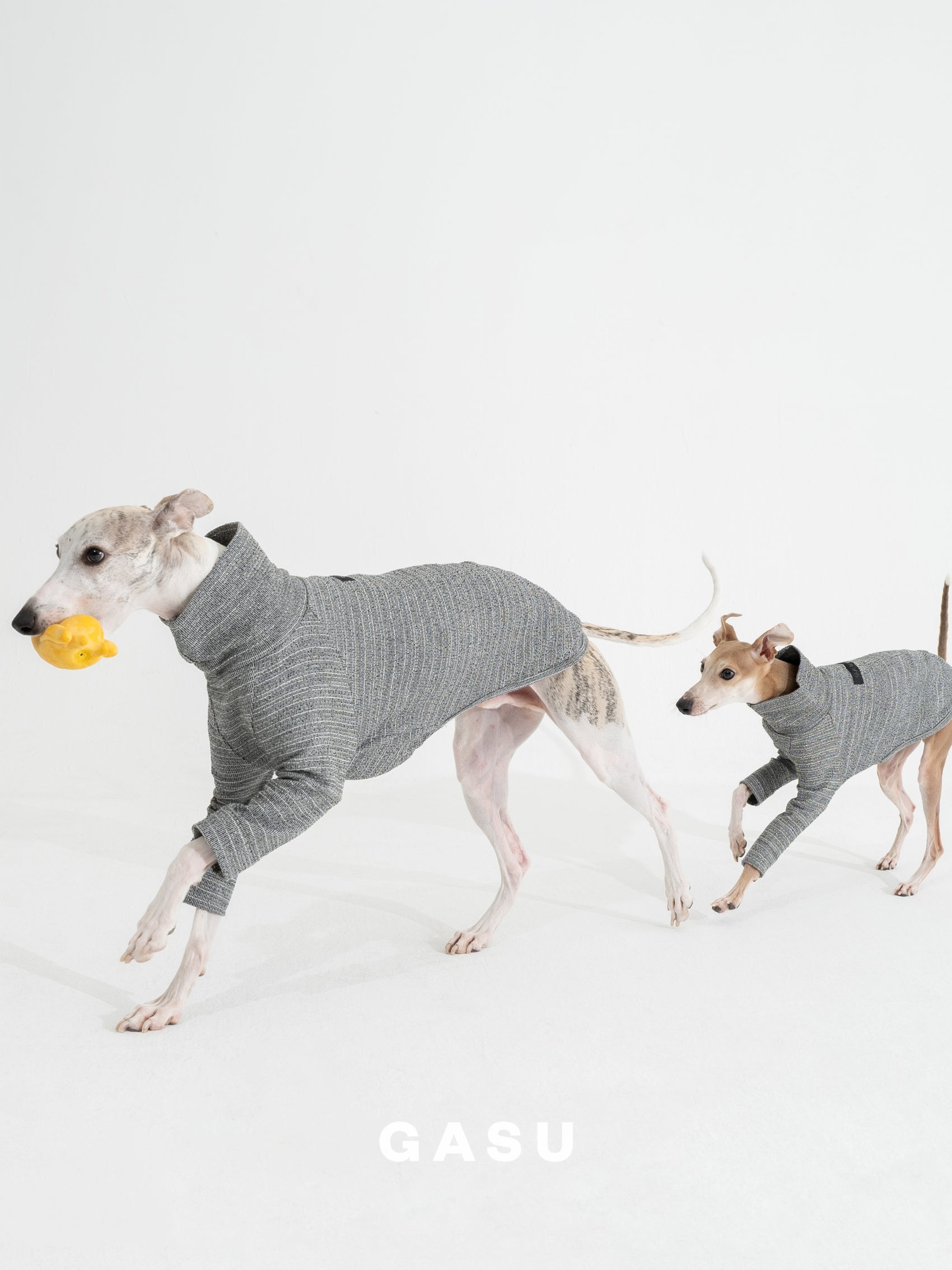 GASU Svelte / [Glaux] 2-Leg Fit Shirt