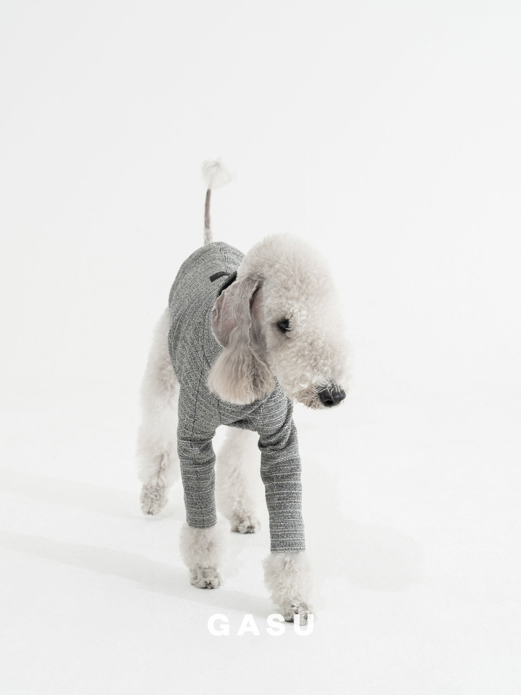 GASU Svelte / [Glaux] 2-Leg Fit Shirt