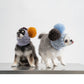 GASU Glace / [6 Colors] Cashmere Merino Wool Hat