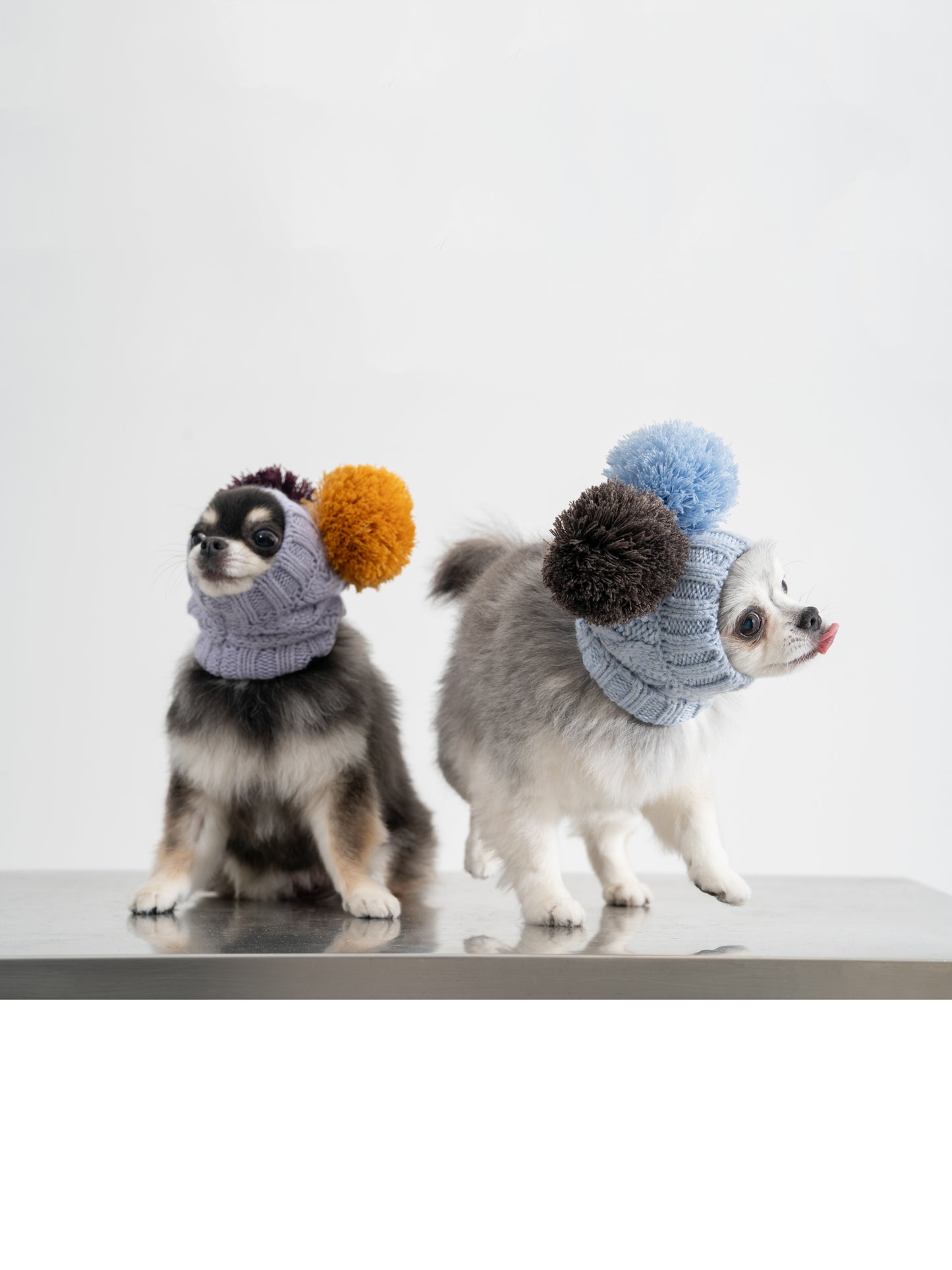 GASU Glace / [6 Colors] Cashmere Merino Wool Hat