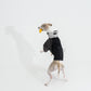 GASU Vautrer / [Coal Grey] Detachable 4-Leg Raincoat / Windbreaker Jacket