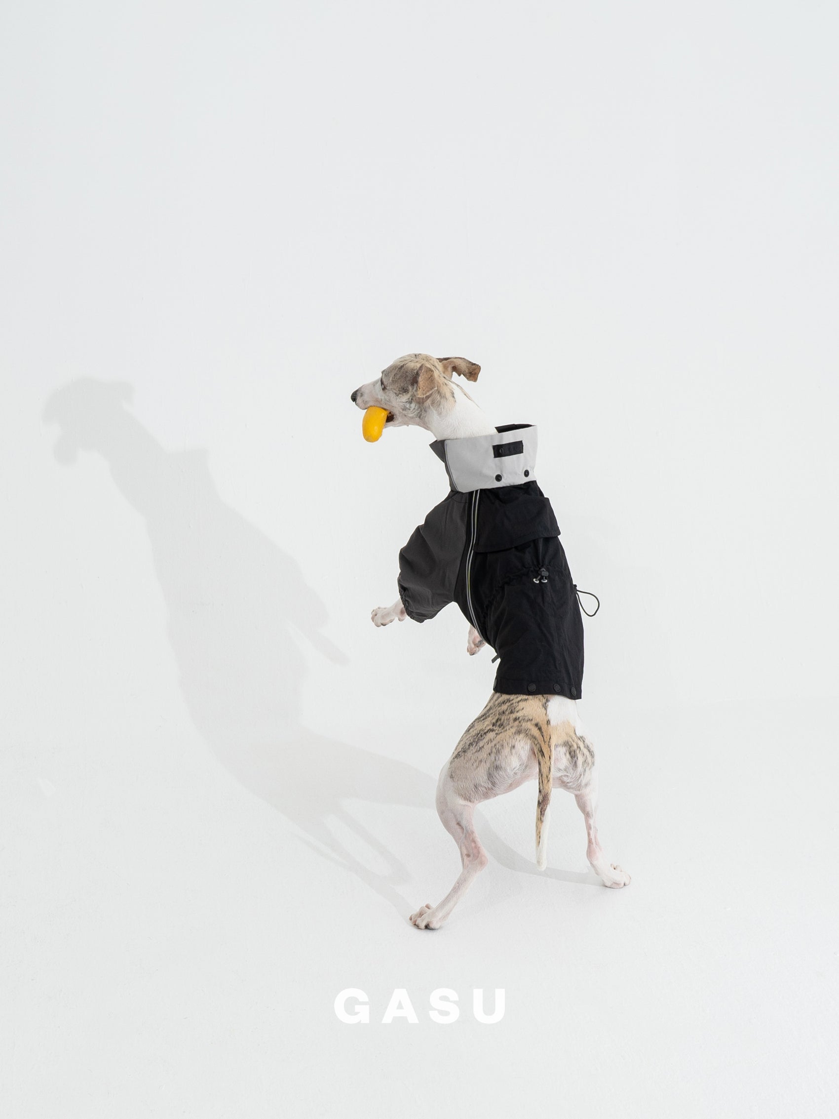 GASU Vautrer / [Coal Grey] Detachable 4-Leg Raincoat / Windbreaker Jacket